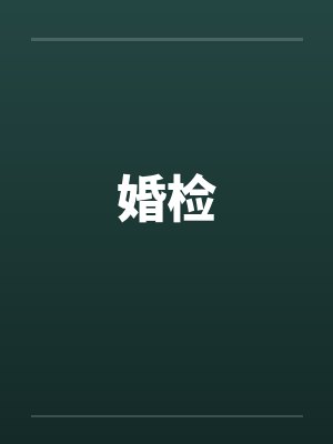 婚检by佚名封面