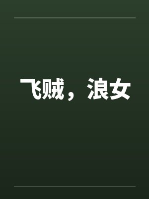 飞贼，浪女笔趣阁无弹窗封面